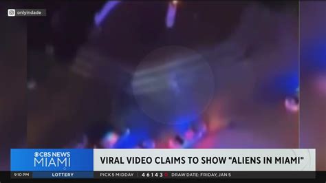 7 to 10 foot creatures in miami|Rumors of 'shadow aliens' at Bayside Marketplace go viral after .